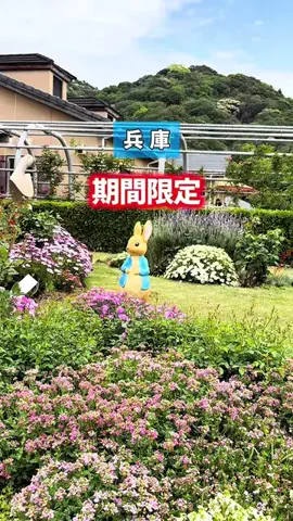 まるのTikTok投稿