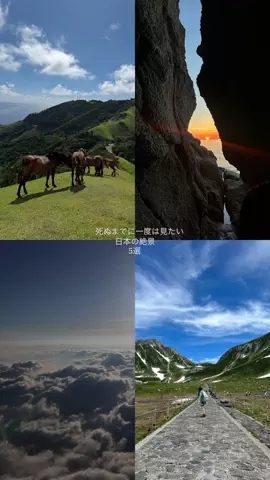 なみちゃん旅のTikTok投稿
