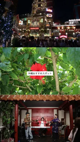 なみちゃん旅のTikTok投稿