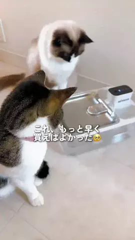 お取り寄せママ  思わず笑顔になるお取り寄せを紹介のTikTok投稿