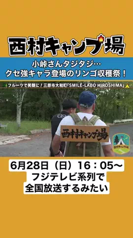 なんか良いこと✨️【切り抜き】のTikTok投稿