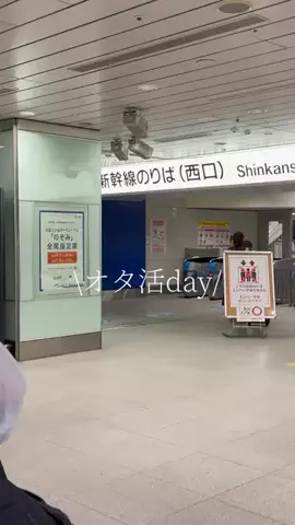 ちみびたのTikTok投稿