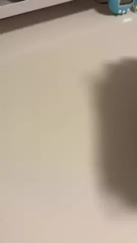 しゃこのTikTok投稿