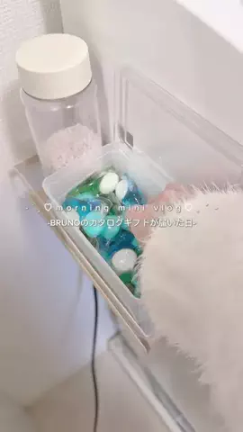 𝒎𝒂𝒑𝒍𝒆🤍のTikTok投稿