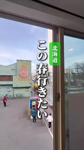 敬 北海道グルメ*🍨🍚のTikTok投稿