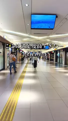 名古屋グルメさんぽのTikTok投稿