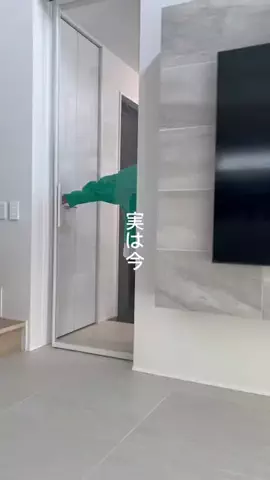 りんごのTikTok投稿