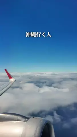 僕んちタイム｜沖縄・旅行・観光・グルメ情報のTikTok投稿