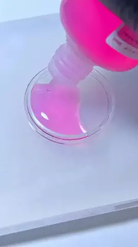 わん🐶のTikTok投稿