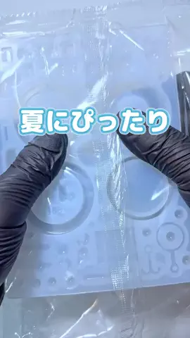 わん🐶のTikTok投稿