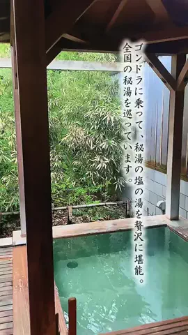 Fuki Fu-campのTikTok投稿