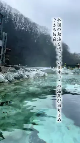 Fuki Fu-campのTikTok投稿