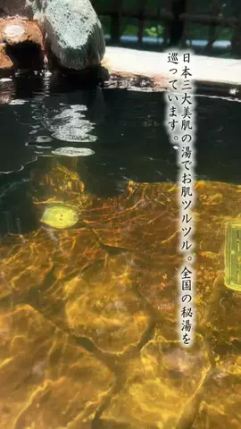 Fuki Fu-campのTikTok投稿