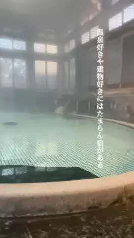 Fuki Fu-campのTikTok投稿