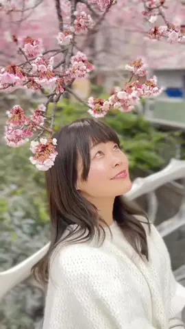 いけちゃん 🐶🫧のTikTok投稿