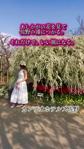 茨城と栃木の県境に住んでいますのTikTok投稿