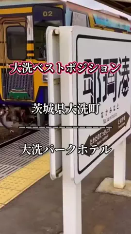 茨城と栃木の県境に住んでいますのTikTok投稿