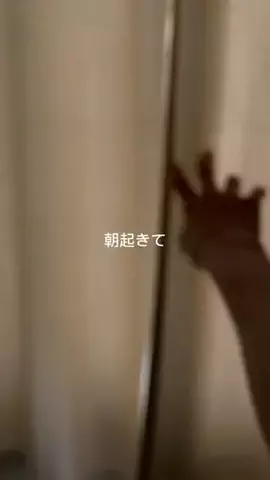 ひかる@美容法オタ💄のTikTok投稿