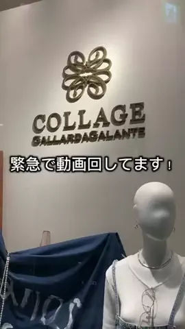 nemo.eriのTikTok投稿
