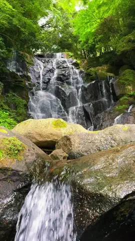 JPN旅する配達人ふぅ🐒🏔️🥾のTikTok投稿