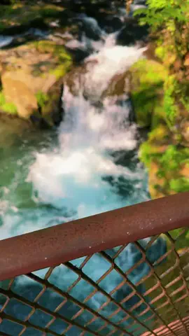 JPN旅する配達人ふぅ🐒🏔️🥾のTikTok投稿