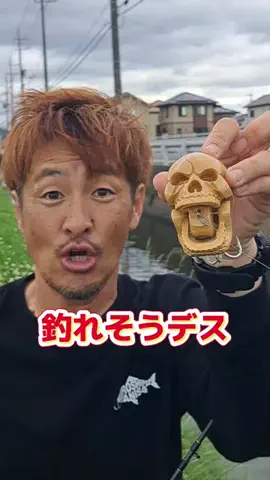 広島たにさんのぼれやびゃー動画のTikTok投稿
