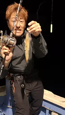 広島たにさんのぼれやびゃー動画のTikTok投稿