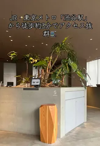 Nihongo AdventureのTikTok投稿
