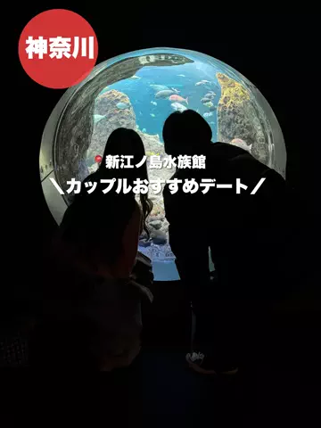 群馬発すー旅⌇旅と暮らしのTikTok投稿