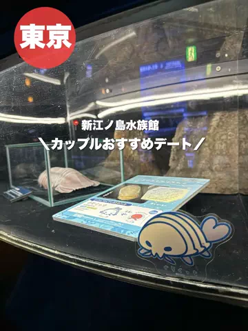 群馬発すー旅⌇旅と暮らしのTikTok投稿