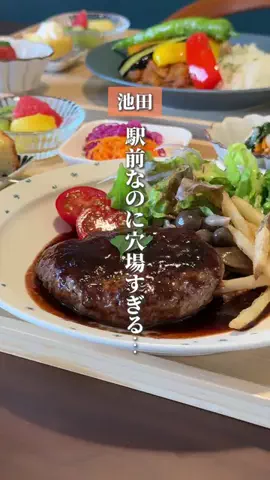 ume_osaka_hokusetsuのTikTok投稿