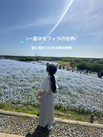 群馬発すー旅⌇旅と暮らしのTikTok投稿