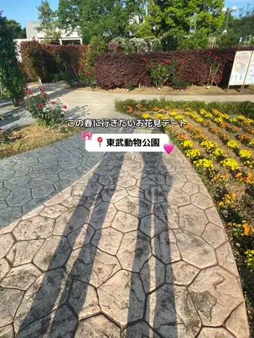 群馬発すー旅⌇旅と暮らしのTikTok投稿