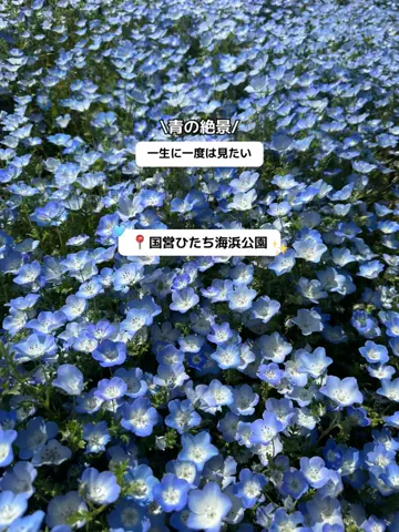 群馬発すー旅⌇旅と暮らしのTikTok投稿