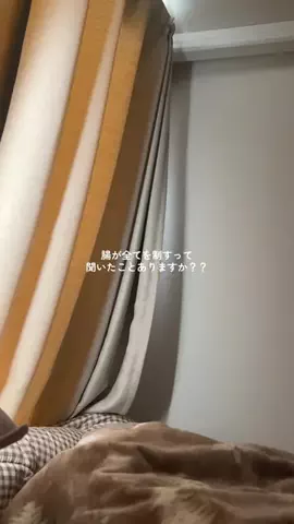 もちぷよ信者のTikTok投稿