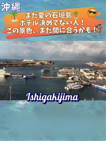 picoꕤ︎︎·͜·のTikTok投稿