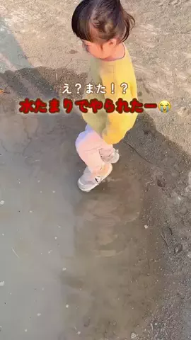 バカ売れ研究所のTikTok投稿