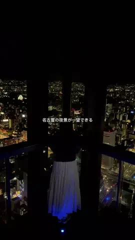 ピノコのTikTok投稿