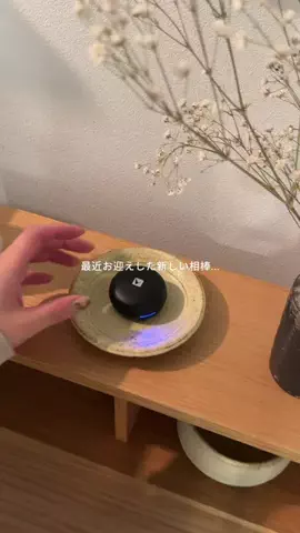 marin  ⌇ 暮らしを楽しむのTikTok投稿