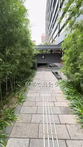 _comasonのTikTok投稿