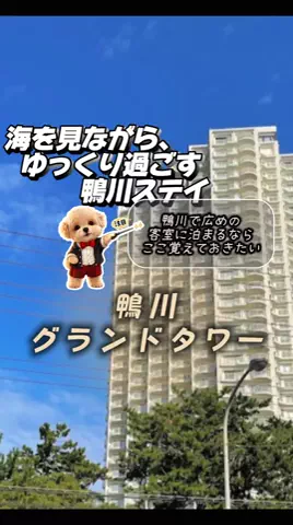 👑マルプー Binta｜ホテル旅🐻‍ 旅とご褒美🛍️のTikTok投稿