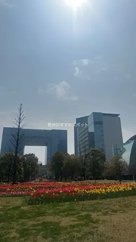 なみちゃん旅のTikTok投稿
