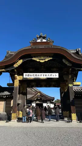 なみちゃん旅のTikTok投稿