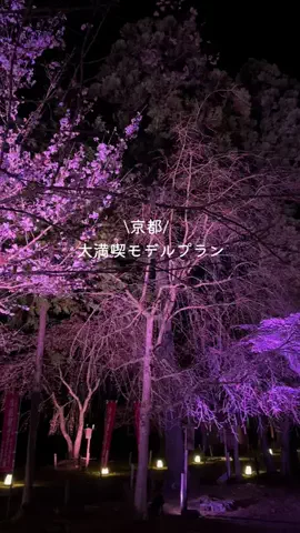 なみちゃん旅のTikTok投稿