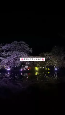 なみちゃん旅のTikTok投稿