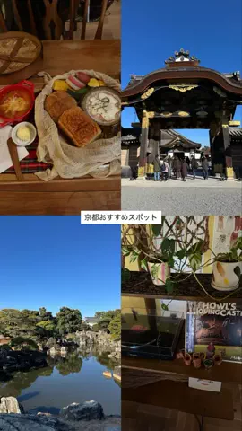 なみちゃん旅のTikTok投稿