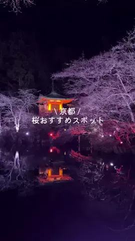 なみちゃん旅のTikTok投稿