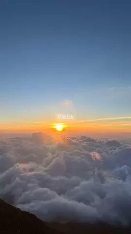 なみちゃん旅のTikTok投稿