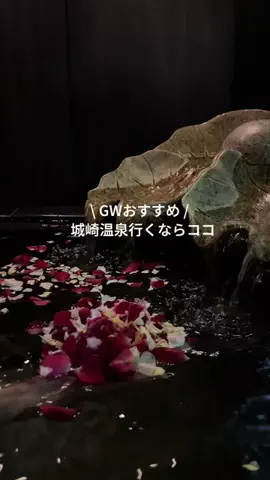 なみちゃん旅のTikTok投稿