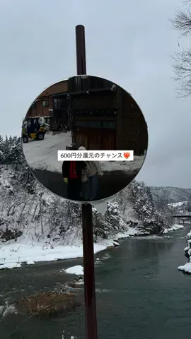 なみちゃん旅のTikTok投稿